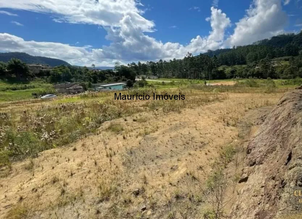 Terreno, 6605 m² - Foto 6