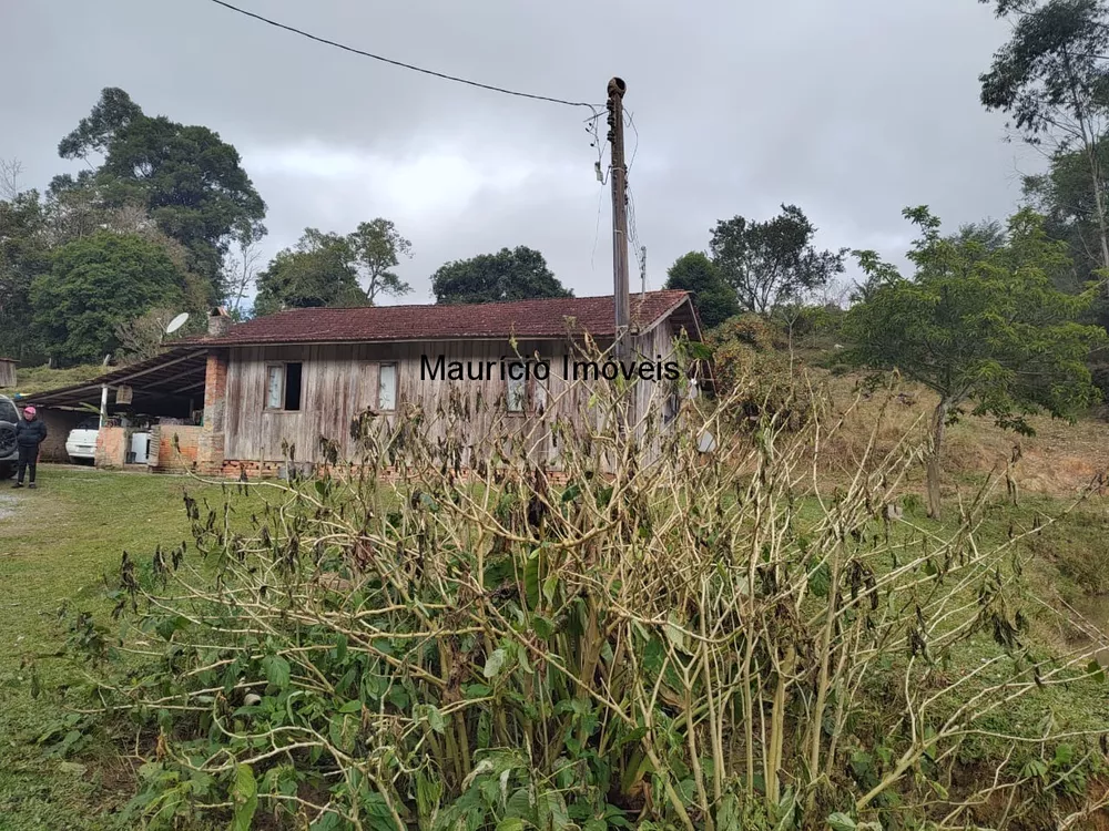 Sítio, 3 quartos, 17 m² - Foto 4