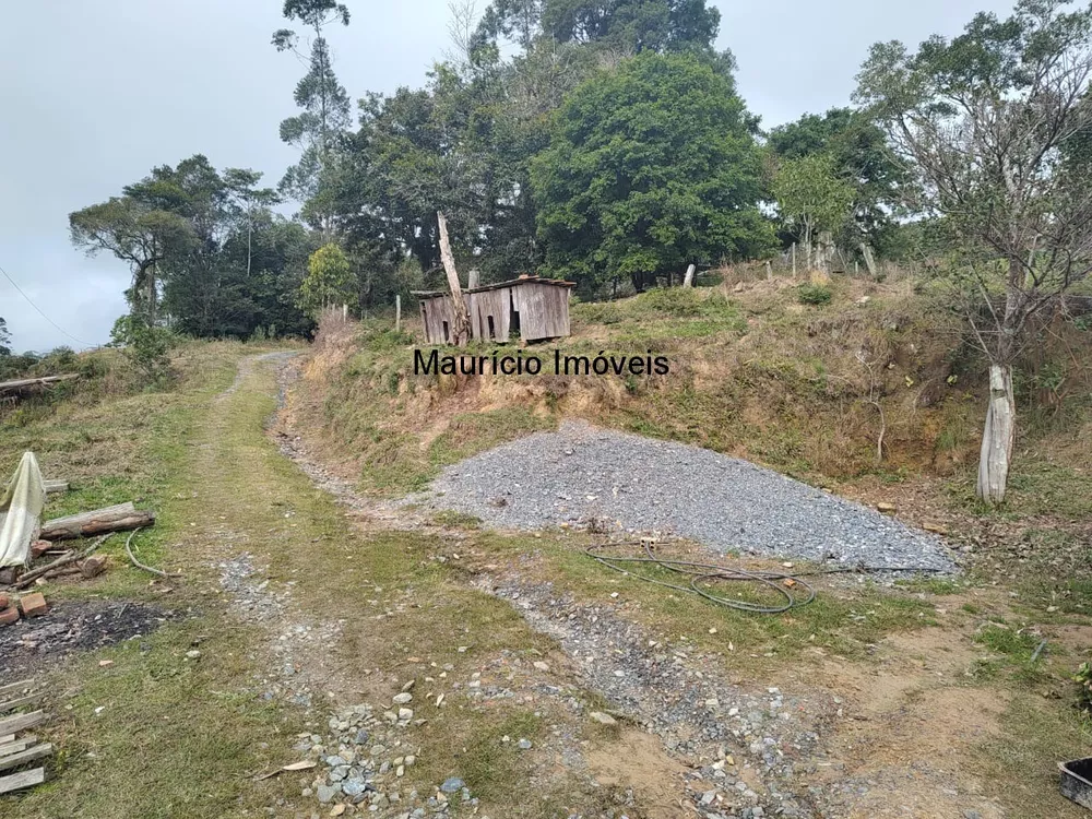 Sítio, 3 quartos, 17 m² - Foto 3