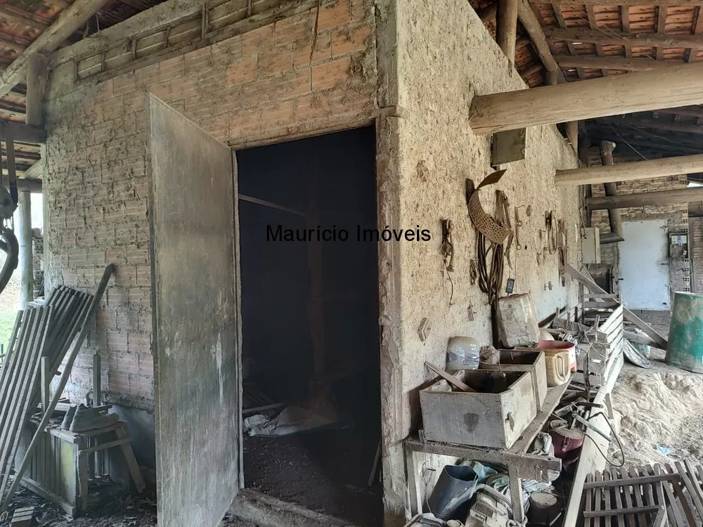 Sítio, 3 quartos, 17 m² - Foto 2