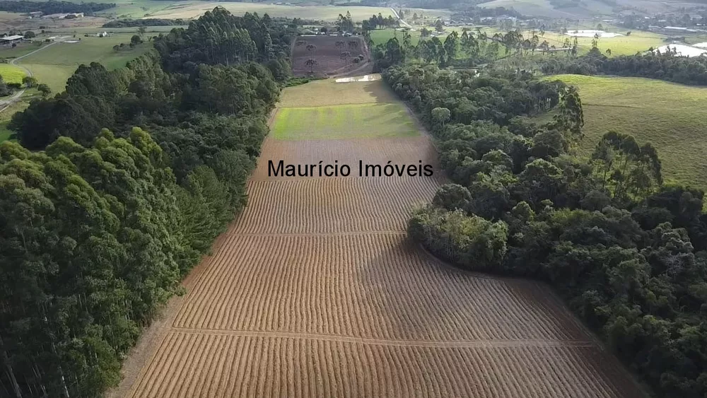 Sítio, 3 quartos, 15 m² - Foto 2