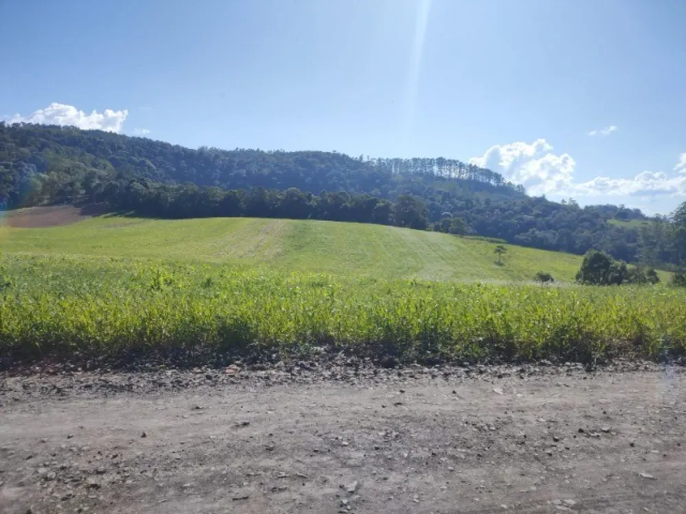Terreno, 6 hectares - Foto 1
