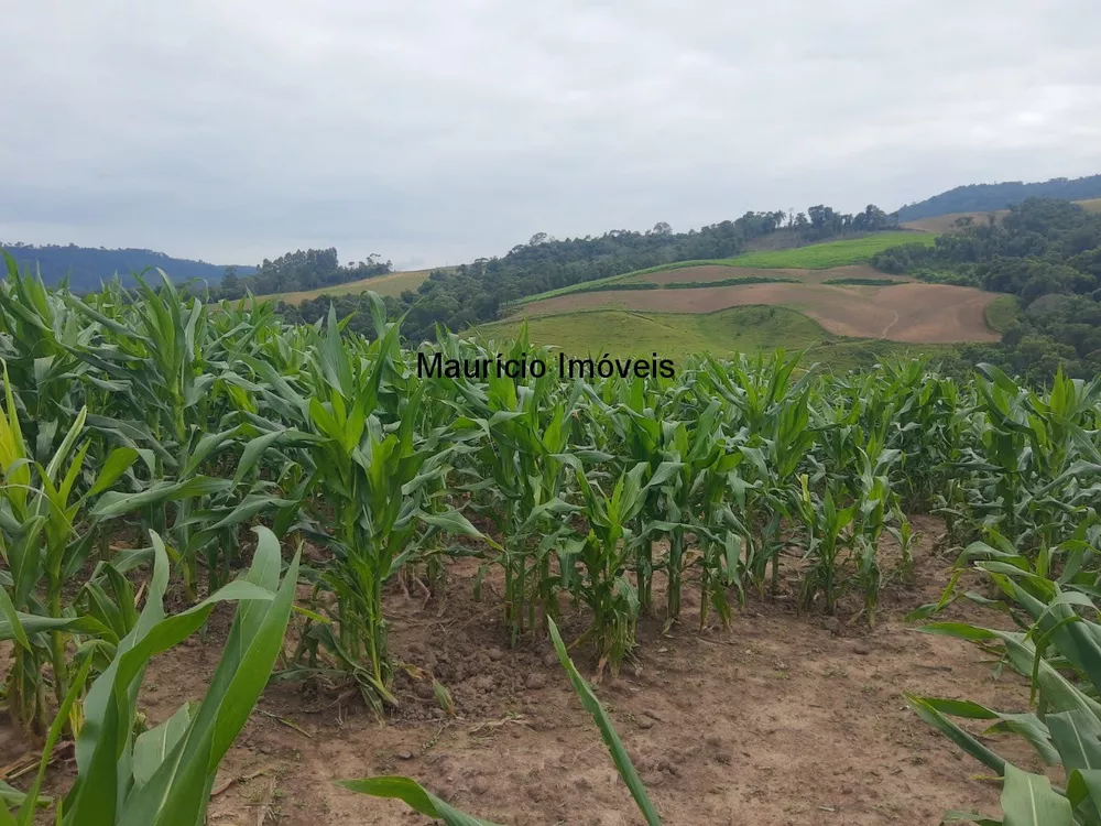 Sítio, 2 quartos, 18 m² - Foto 3