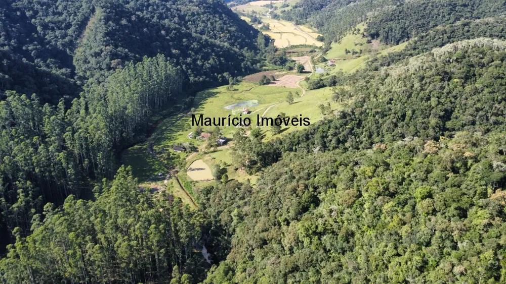 Fazenda, 250 m² - Foto 7