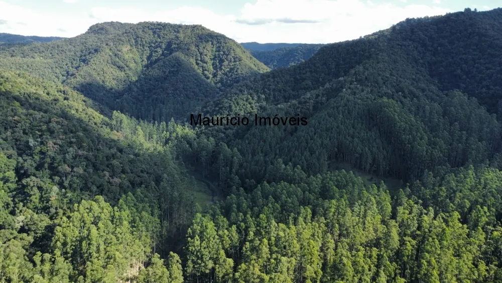 Fazenda, 250 m² - Foto 10