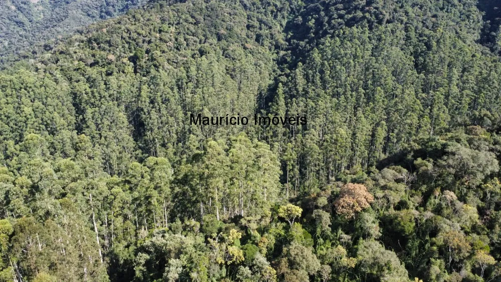 Fazenda, 250 m² - Foto 3