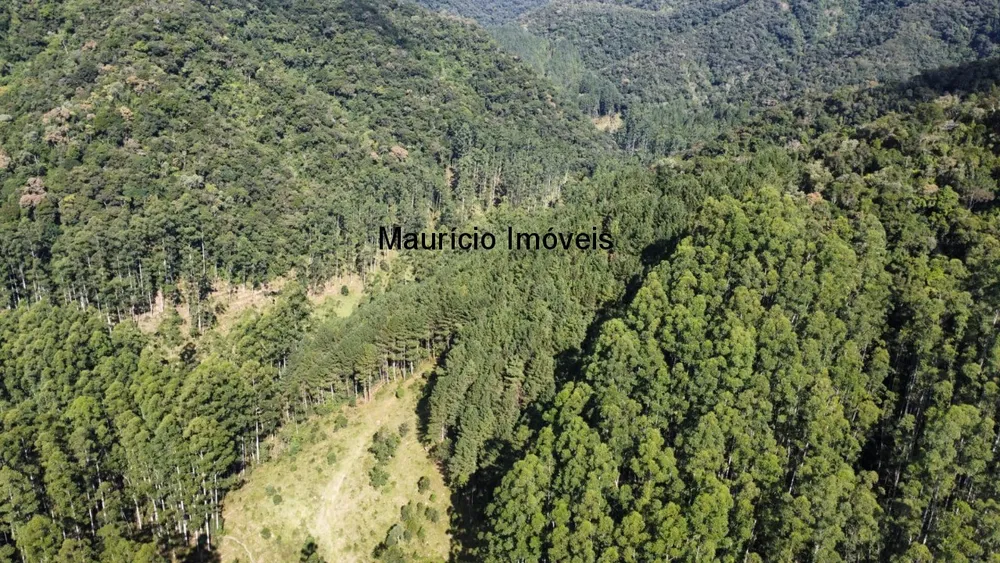 Fazenda, 250 m² - Foto 11