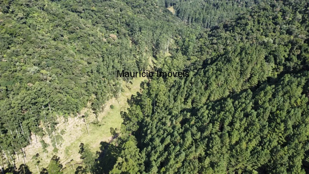 Fazenda, 250 m² - Foto 6