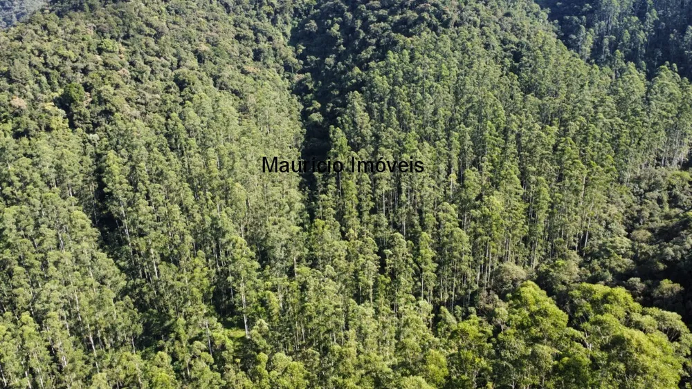 Fazenda, 250 m² - Foto 8