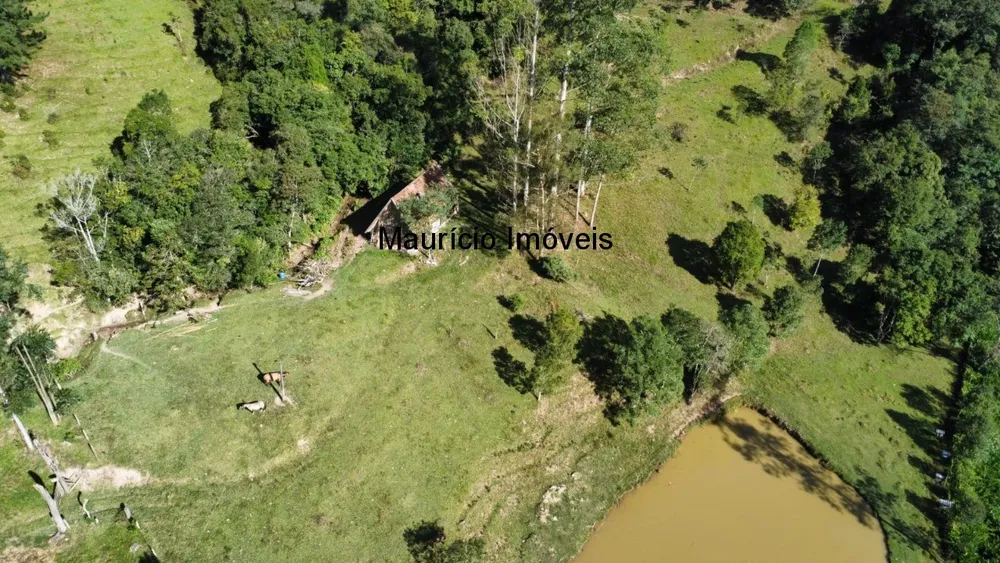 Fazenda, 250 m² - Foto 5
