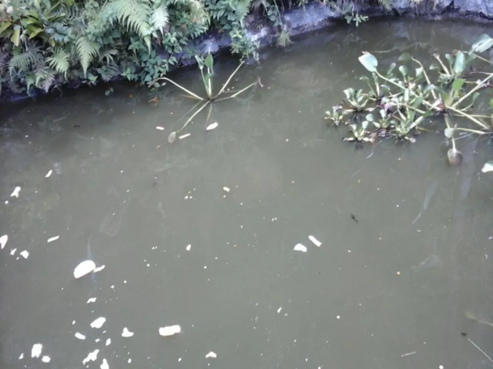 Sítio, 3 quartos, 2 m² - Foto 3