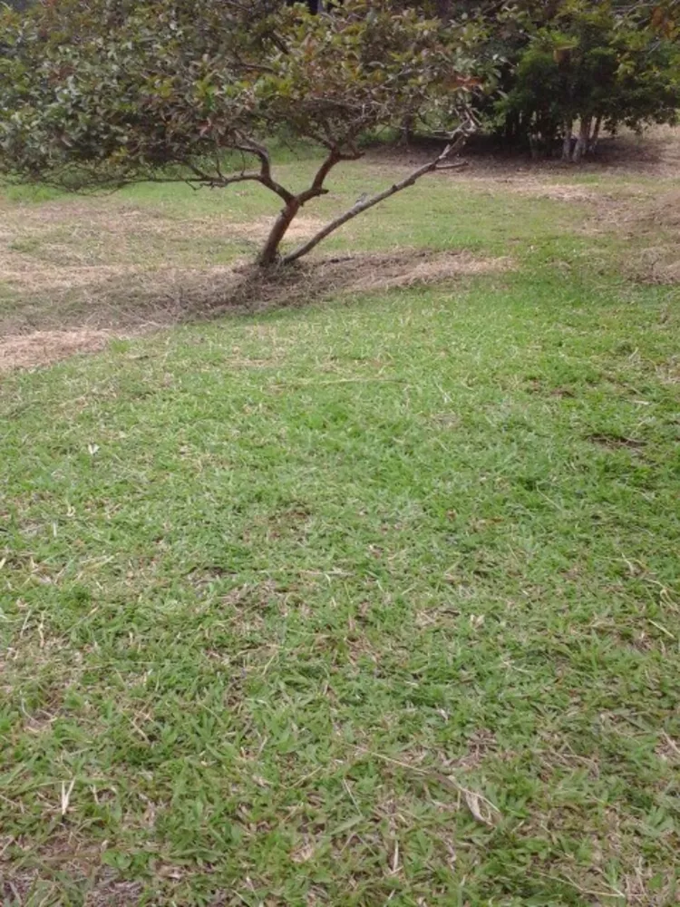 Sítio, 3 quartos, 2 m² - Foto 8