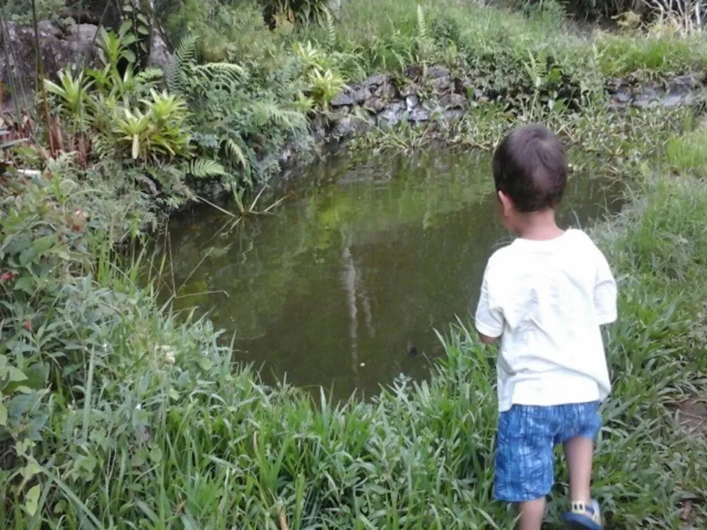 Sítio, 3 quartos, 2 m² - Foto 6