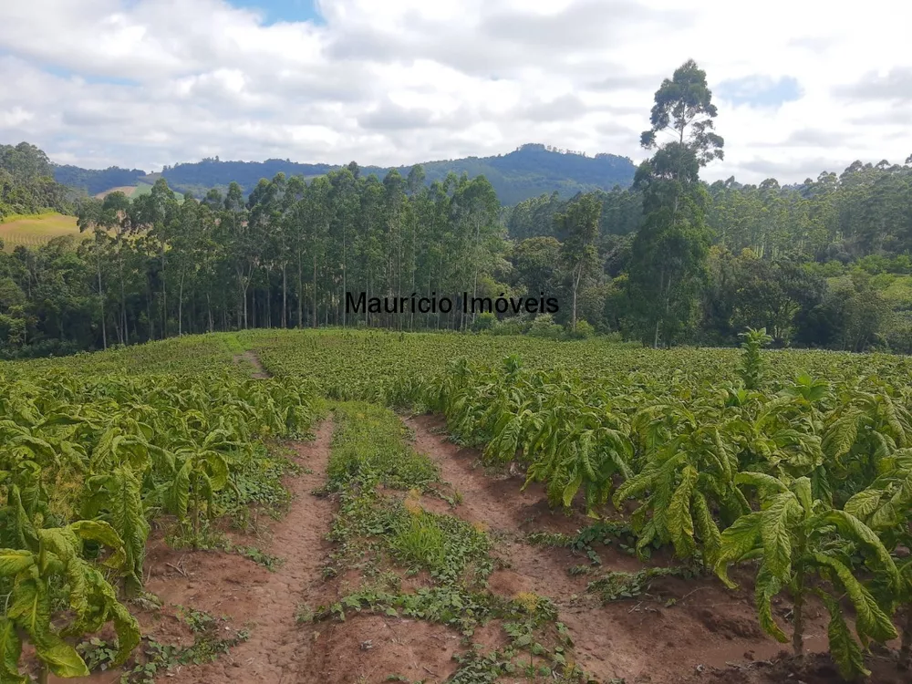 Fazenda à venda com 1 quarto, 7m² - Foto 1