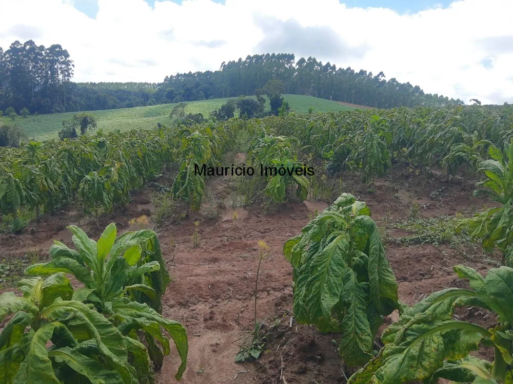 Terreno, 7 m² - Foto 4