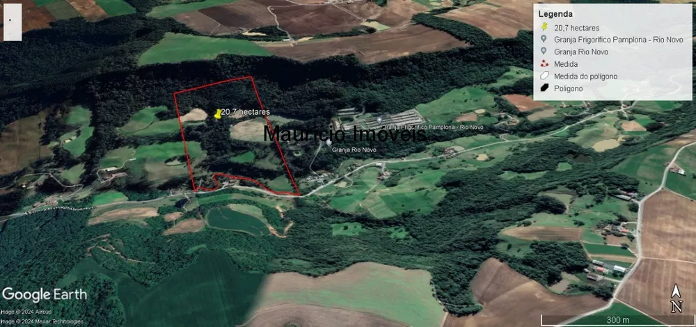 Sítio, 4 quartos, 20 m² - Foto 1