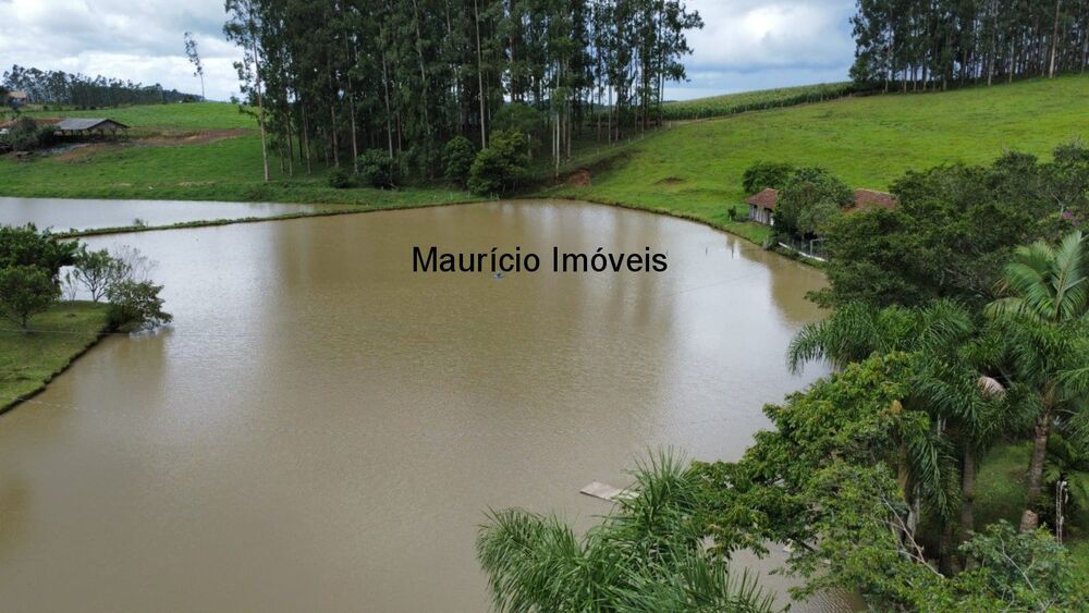 Sítio, 5 quartos, 4 hectares - Foto 5