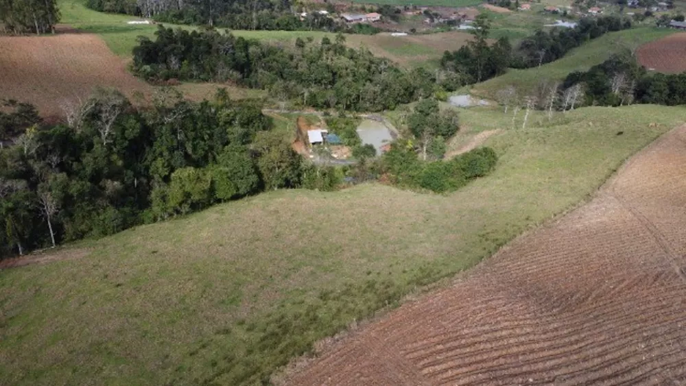 Sítio, 4 quartos, 3 hectares - Foto 4