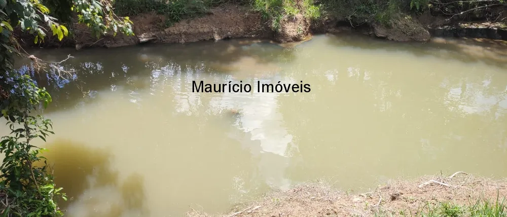 Chácara, 3 quartos, 5000 m² - Foto 7
