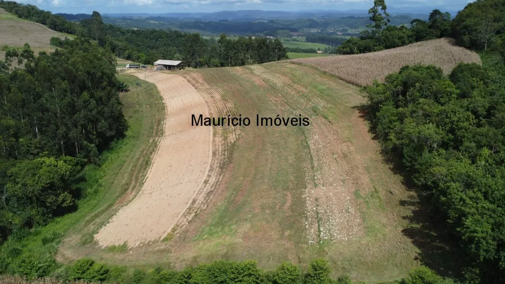 Sítio, 1 quarto, 4 m² - Foto 3