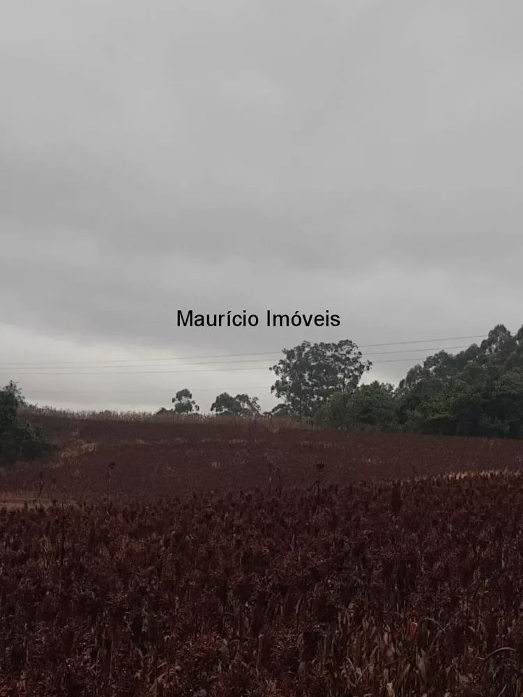 Terreno, 5 m² - Foto 4