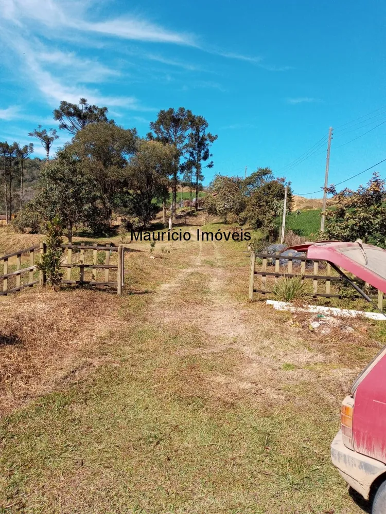 Chácara, 2 quartos, 6954 m² - Foto 1