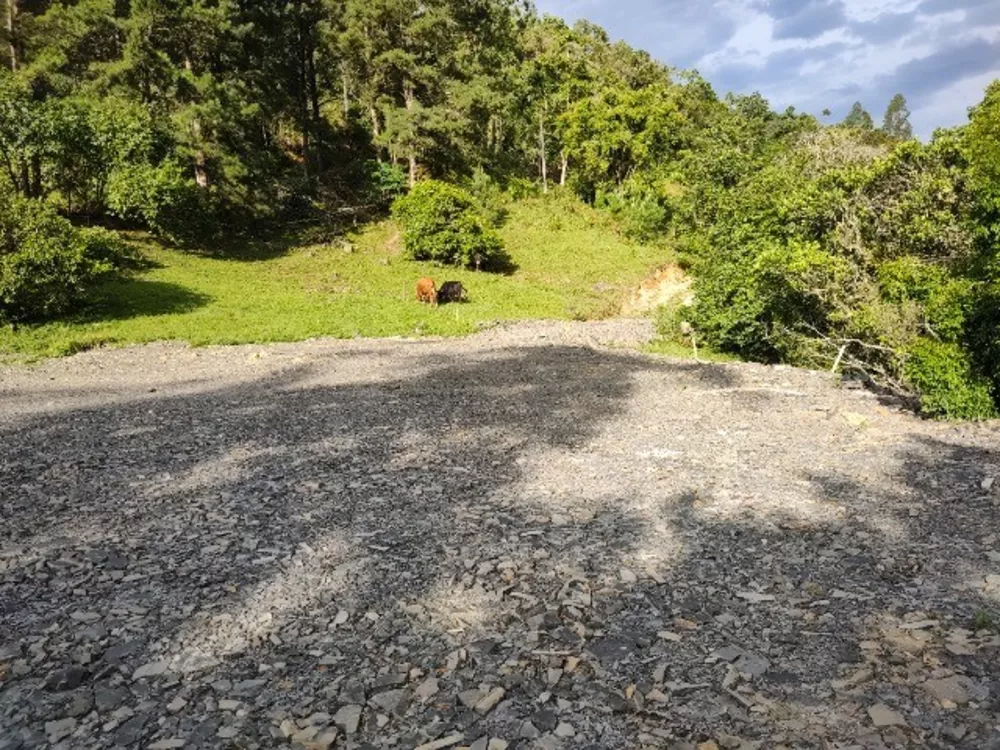Chácara, 2 quartos, 2 hectares - Foto 4