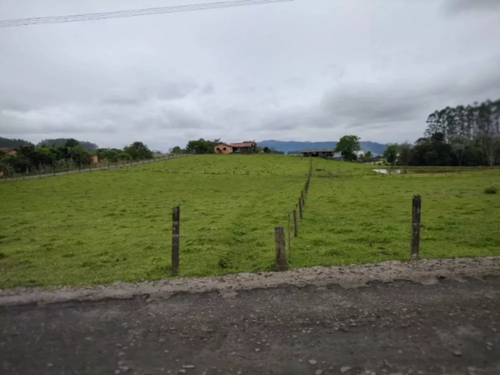 Sítio, 5 quartos, 3 hectares - Foto 1