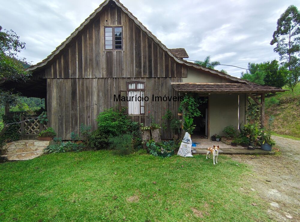 Sítio, 3 quartos, 6 m² - Foto 3