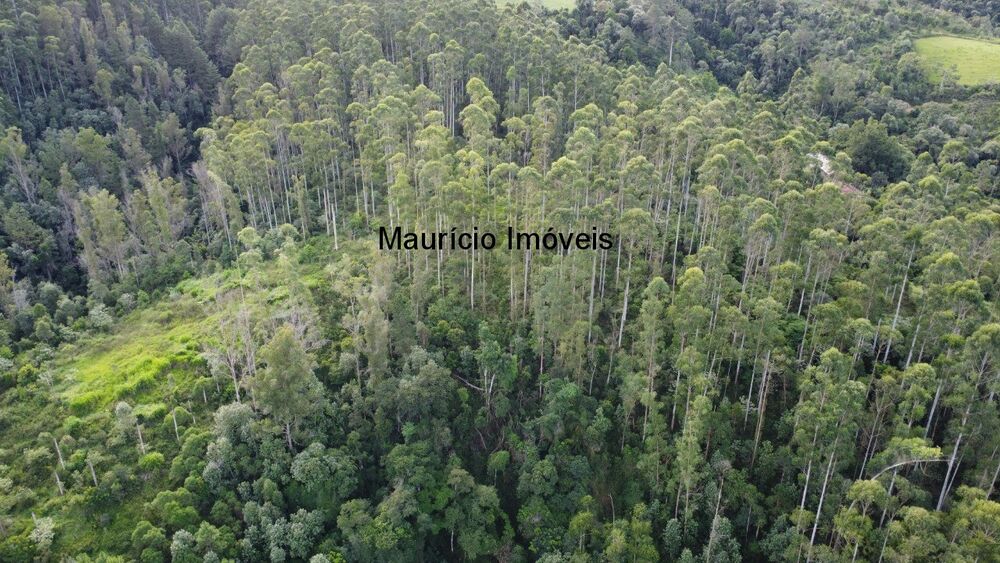 Sítio, 3 quartos, 4 m² - Foto 1