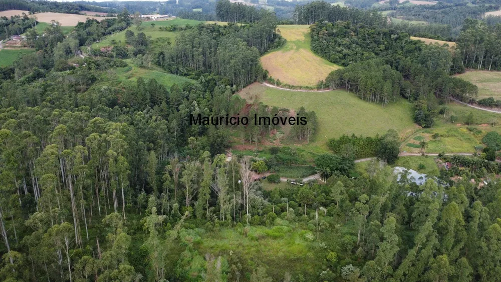 Sítio, 3 quartos, 4 m² - Foto 4