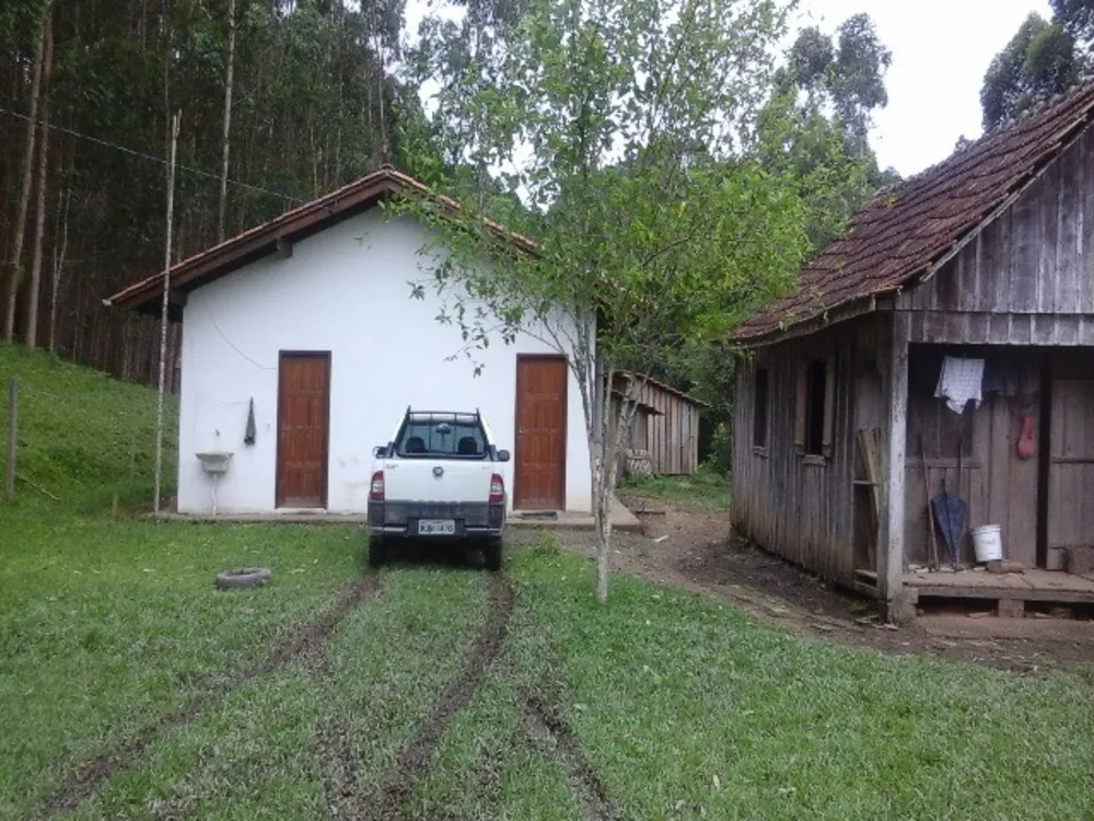Sítio, 2 quartos, 10 m² - Foto 4