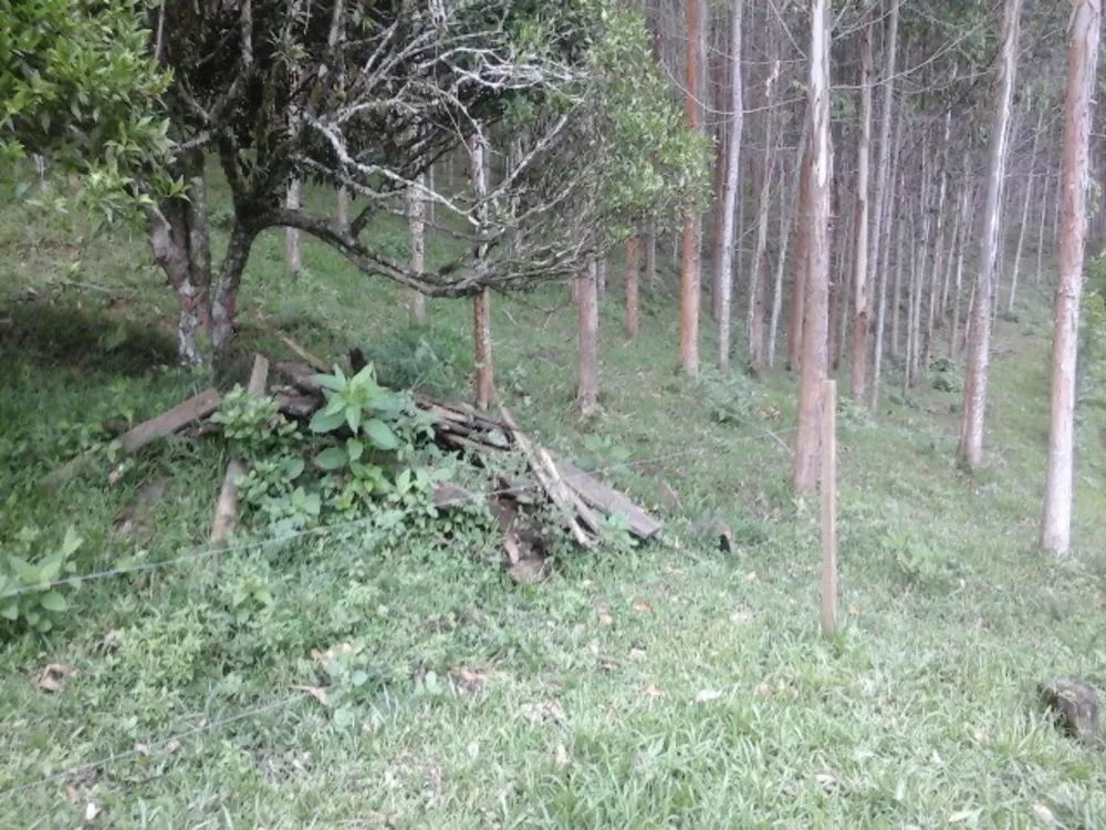 Sítio, 2 quartos, 10 m² - Foto 12