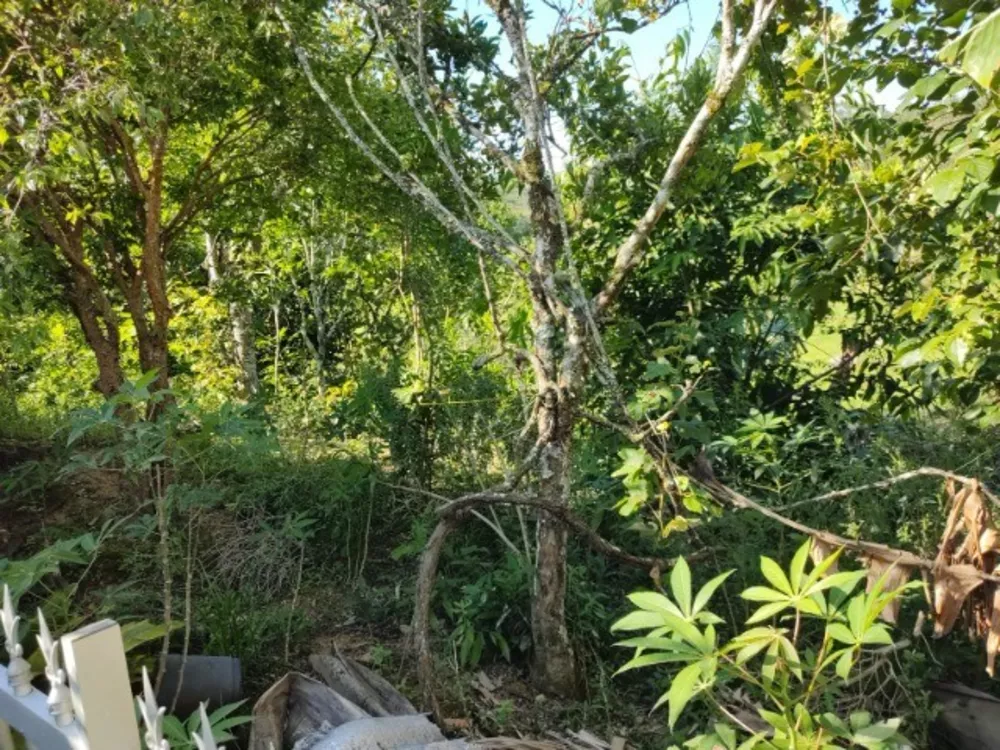 Casa, 3 quartos, 20000 m² - Foto 3