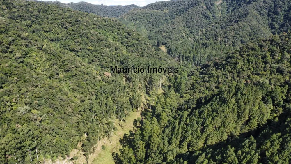 Fazenda, 250 m² - Foto 8