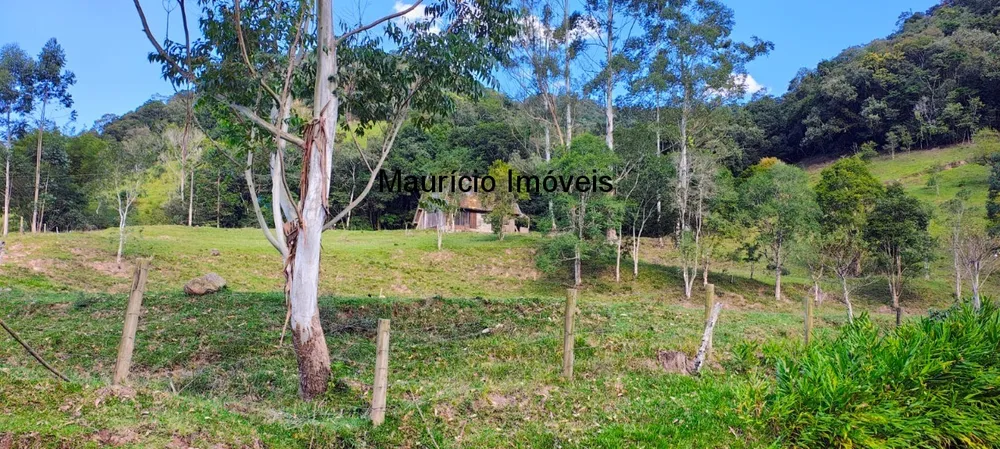 Fazenda, 250 m² - Foto 6
