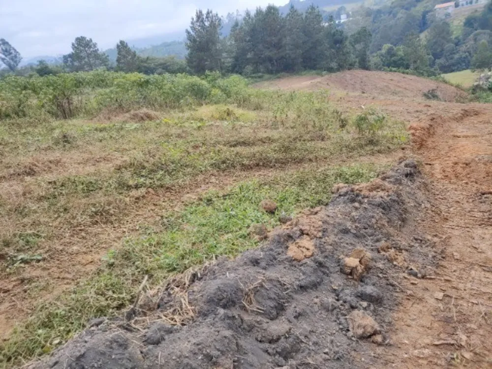 Terreno, 3100 m² - Foto 4