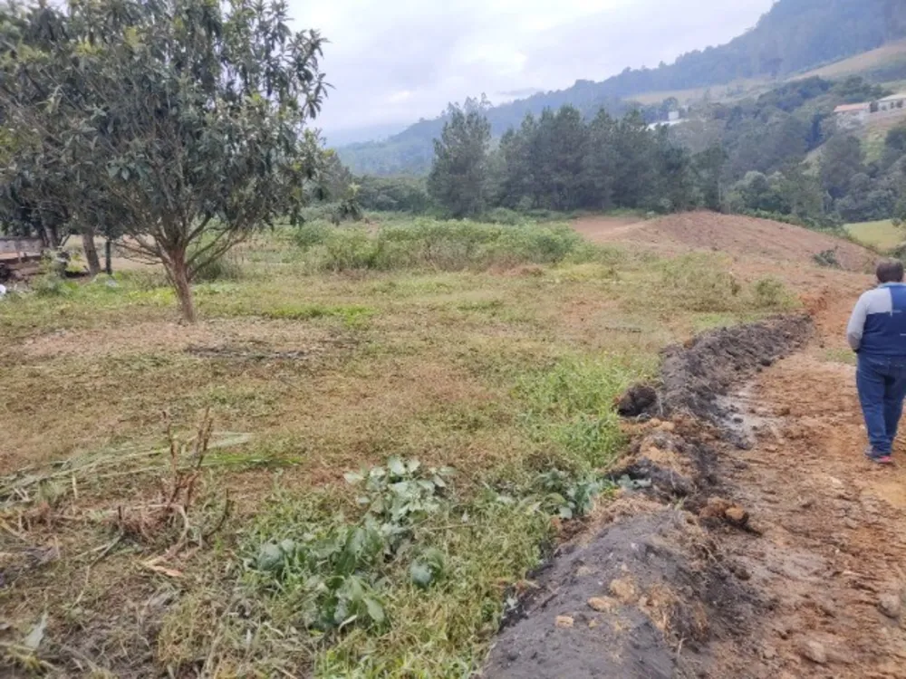 Terreno, 3100 m² - Foto 6