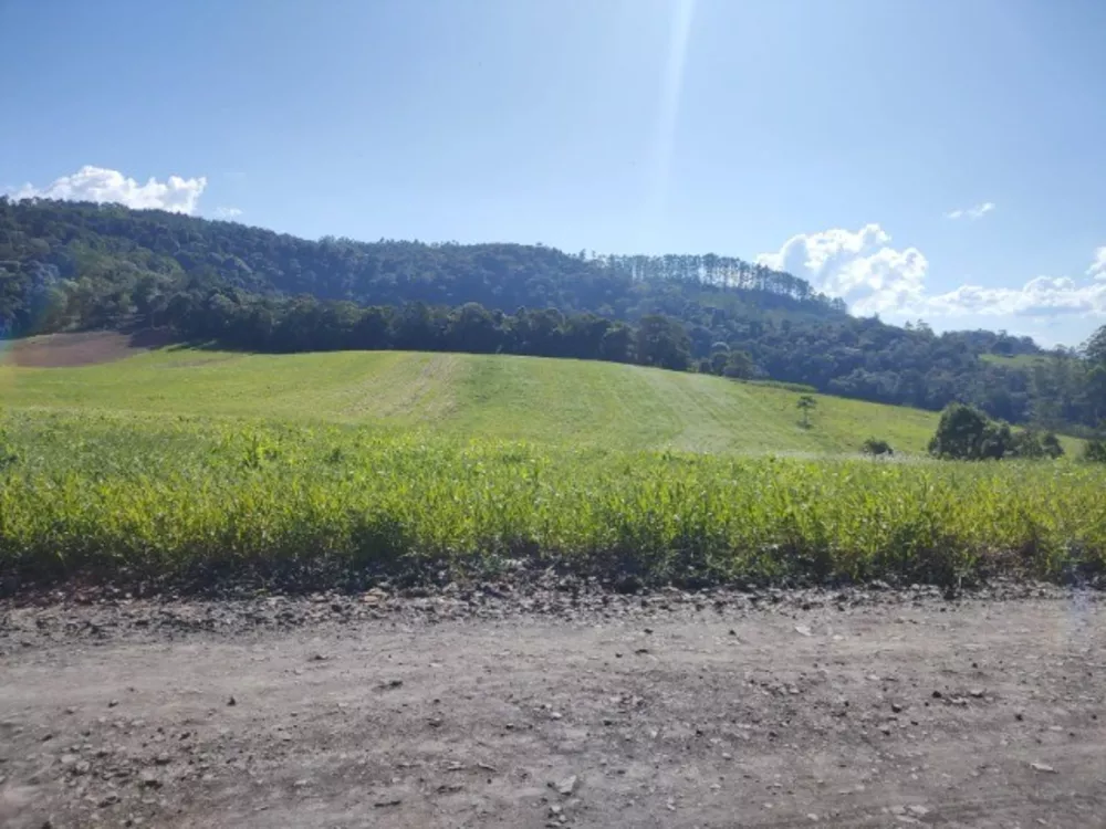 Terreno, 6 hectares - Foto 1