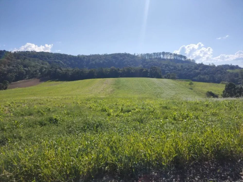 Terreno, 6 hectares - Foto 3