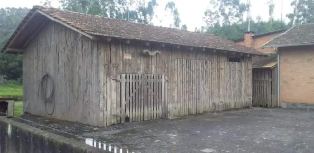Imóvel Comercial, 4000 m² - Foto 9
