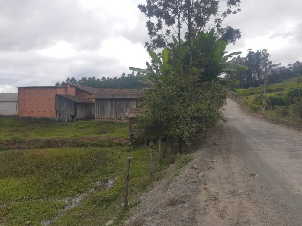 Imóvel Comercial, 4000 m² - Foto 5
