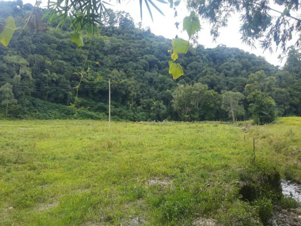 Imóvel Comercial, 4000 m² - Foto 12