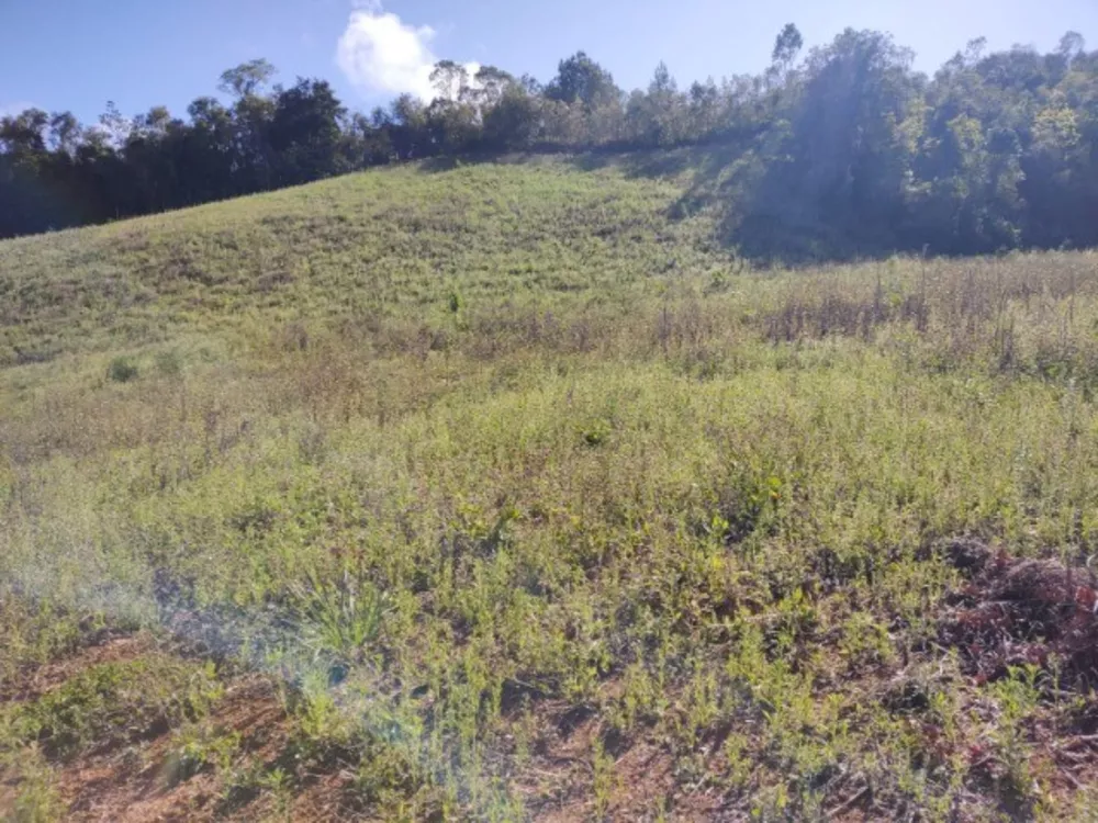 Sítio, 1 quarto, 10 m² - Foto 1