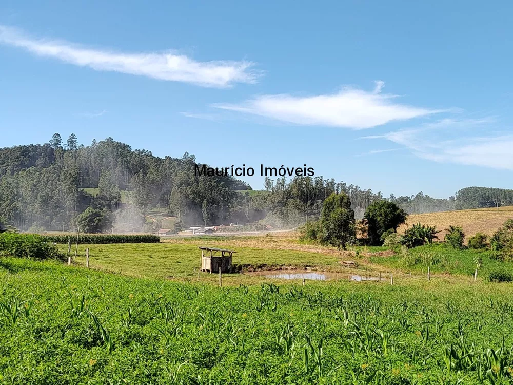 Terreno, 5000 m² - Foto 1