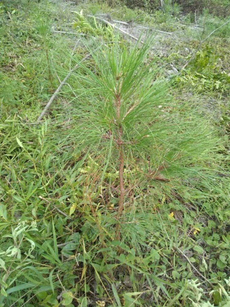 Terreno, 10 m² - Foto 14