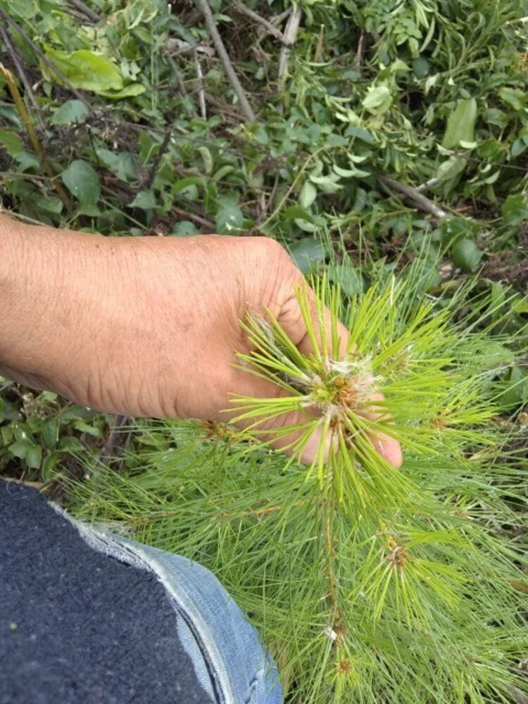 Terreno, 10 m² - Foto 11