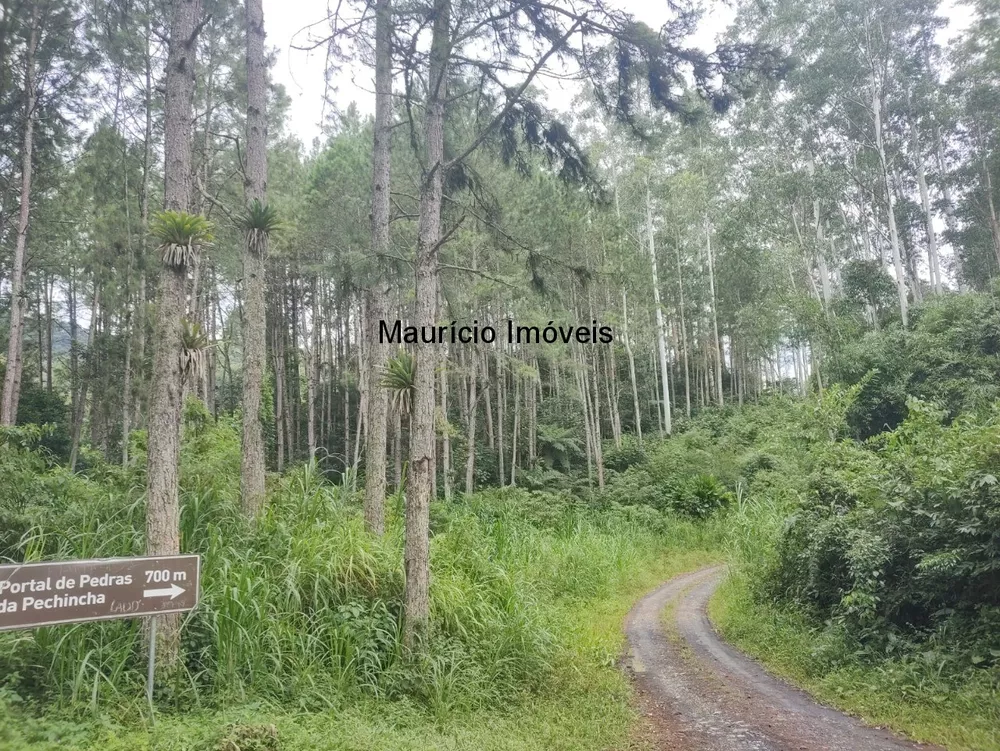 Sítio, 3 quartos, 50 m² - Foto 1