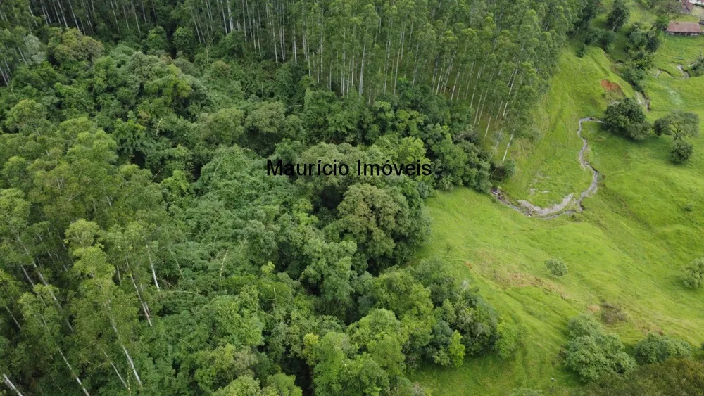 Sítio, 3 quartos, 50 m² - Foto 2