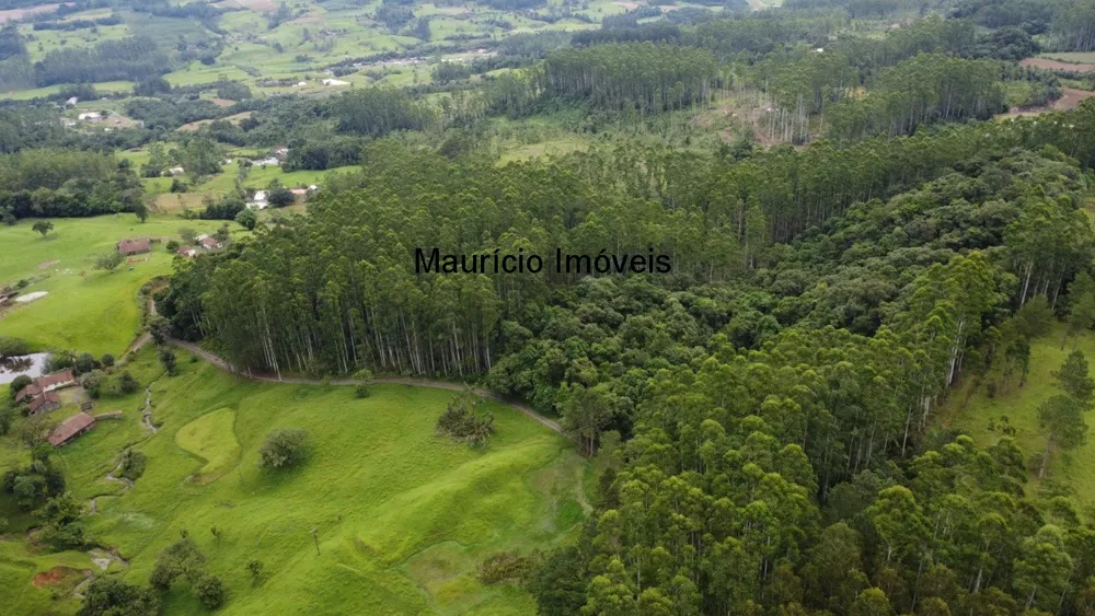 Sítio, 3 quartos, 50 m² - Foto 3